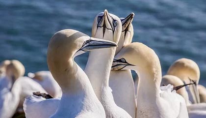 开云入口：开启云端新纪元的智慧门