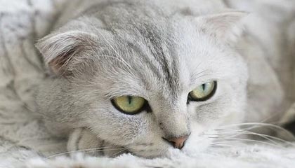 开云入口：开启云端新纪元的智慧门