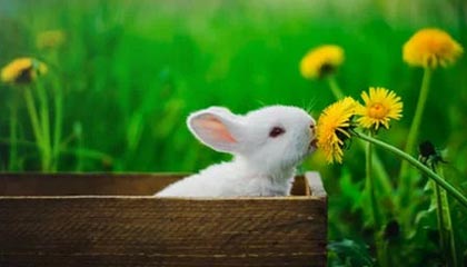 开云入口：开启云端新纪元的智慧门